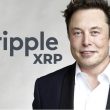 Elon Musk XRP